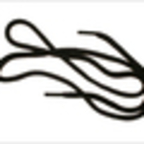 The Invention of the Shoelace