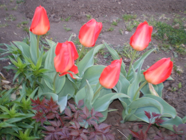 2017 lõpetan ma KSG