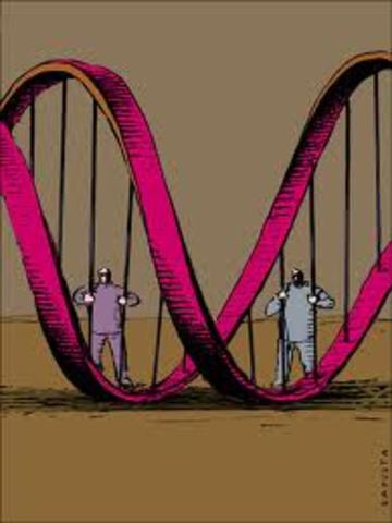 La Bioética parte de Problemas morales.del siglo XX.