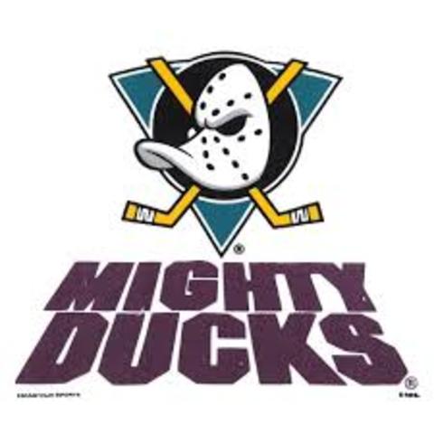 Anaheim Ducks
