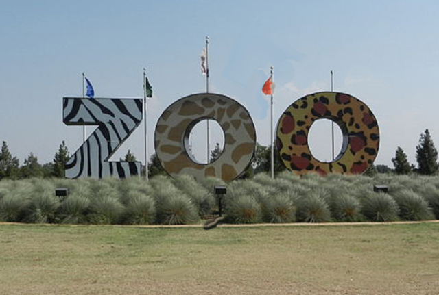 Family trip to the zoo