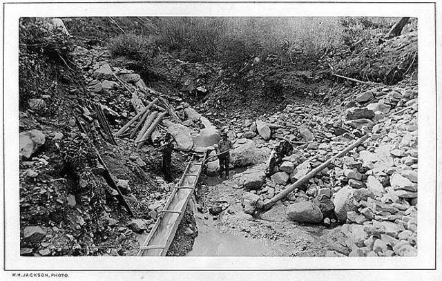 California Gold Rush