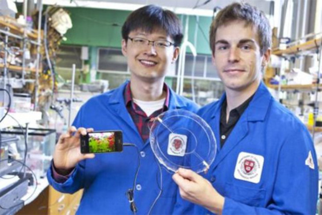 transparent ionic speaker