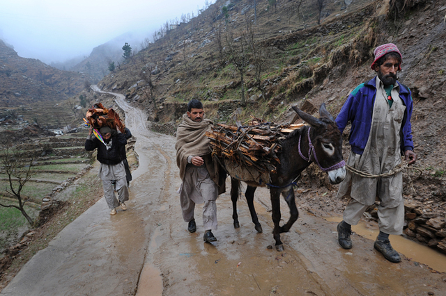 Rounding Up the Materials