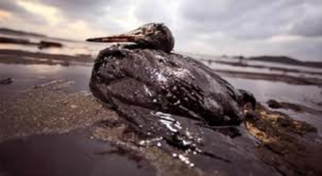 Oil Pollution Act