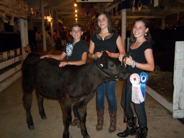 succeeding in another year of 4-h.