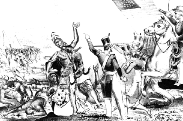 florida stop seminol attacks