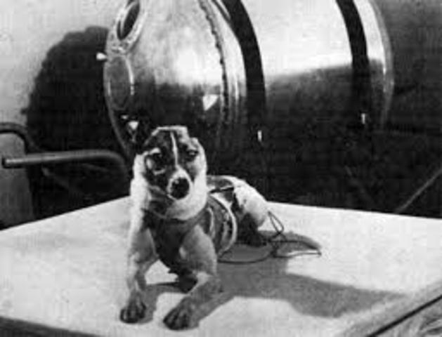 Lanzamiento de Laica