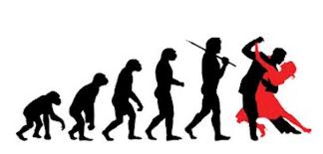 REGGEATON Y ELECTRONICA