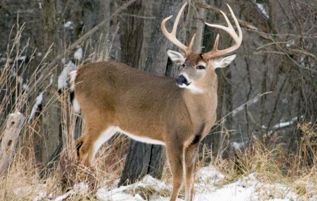 First time to go hunting