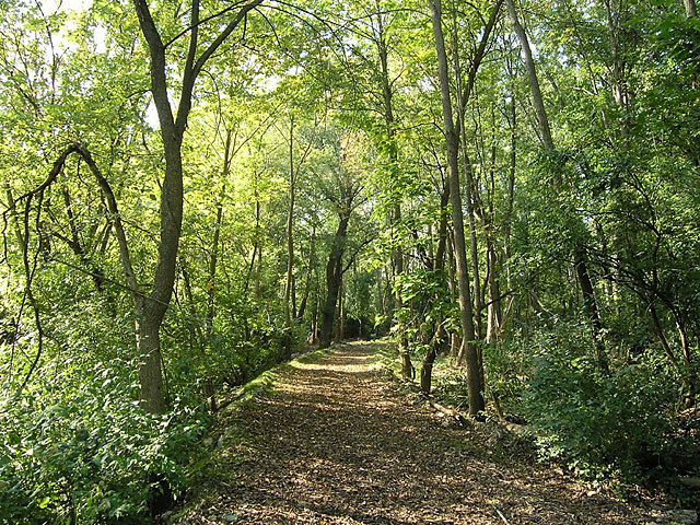 Inscrutable mass (49)