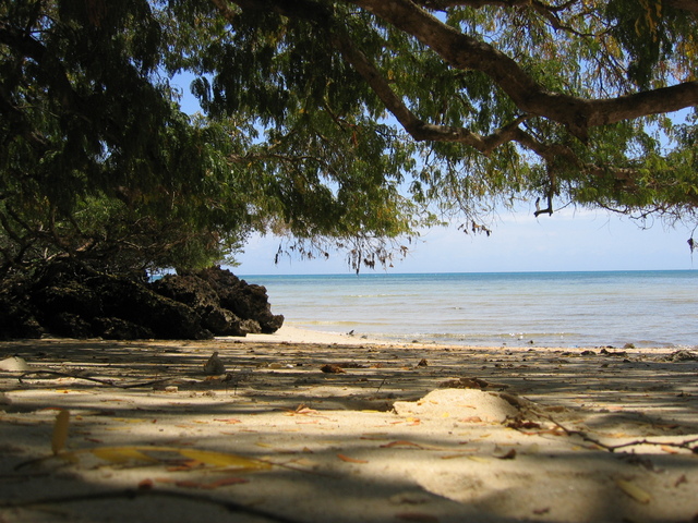 Pig Run Hunting (49)