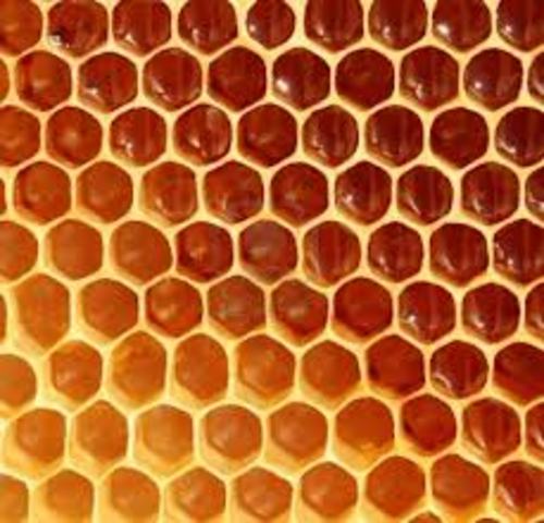 Versión 3.1 Honeycomb