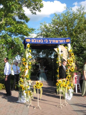 Wedding/ Hand crafted Chuppah