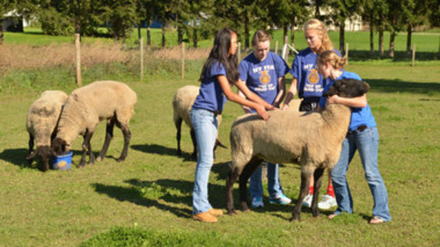 president harry s. truman