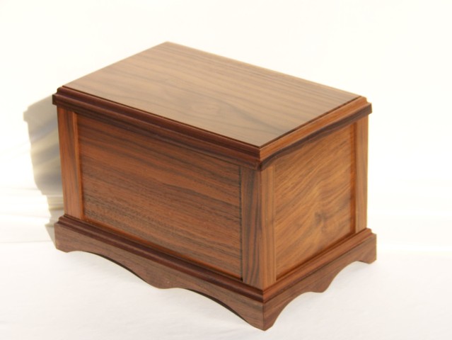 Accidentally Cremated