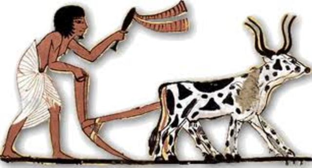 Primeras comunidades agrícolas