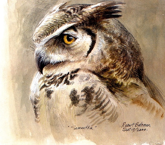 Robert Bateman's donations
