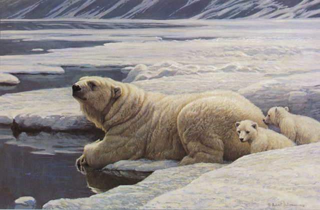 The Smithsonian Institution