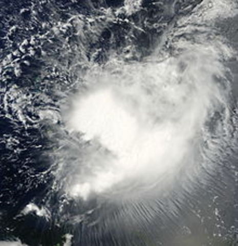 Tropical storm " Erika "