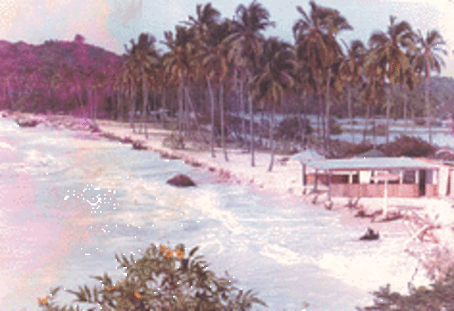 Tropical Storm Klaus