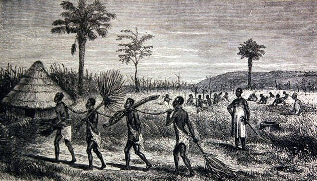 First Enslaved Africans Arrive in the Americas
