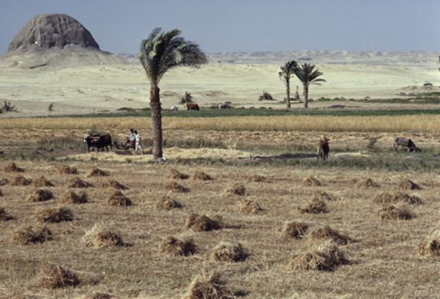 early settlers in Nile River Valley