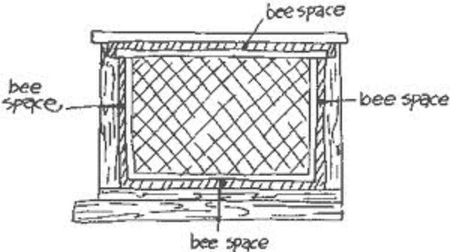 An American clergyman