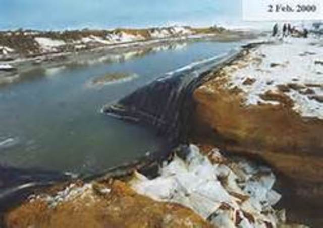 Baia Mare cyanide spill