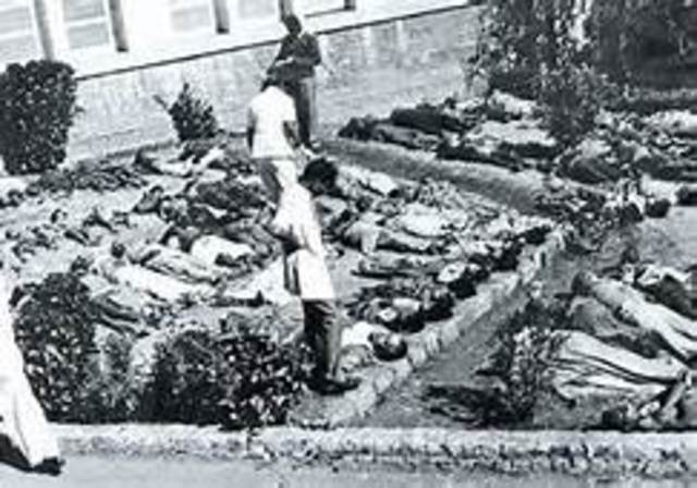 The Bhopal disaster