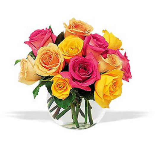 Premio Goya Nivel PR