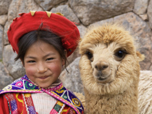 Alpaca wool as an Economic Resource