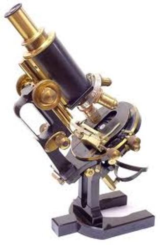 Immersion microscopy