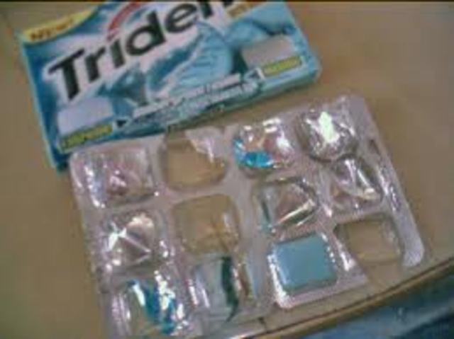 The kids find gum and gifts in the tree