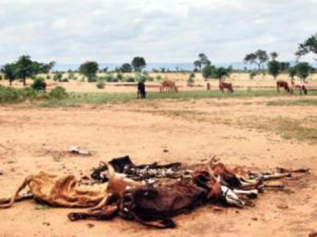 Droughts cripple Limpopo farmers