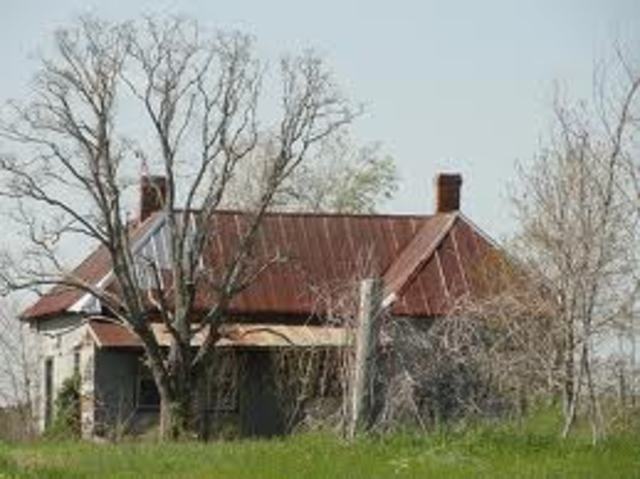 Birth of Rosa Louise McCauley