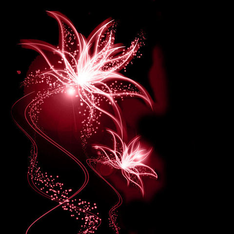 seeing the fireworks