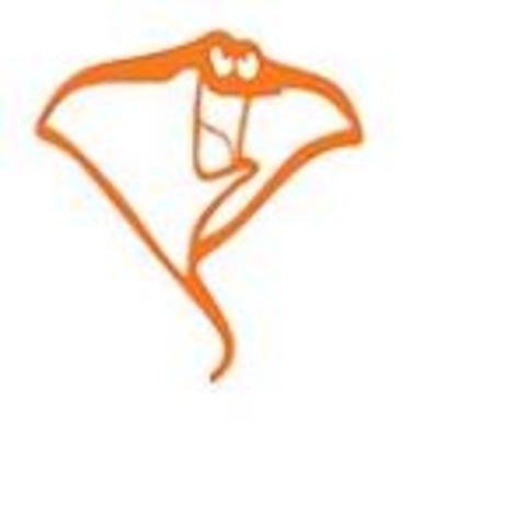 I join the RAY'S swim team