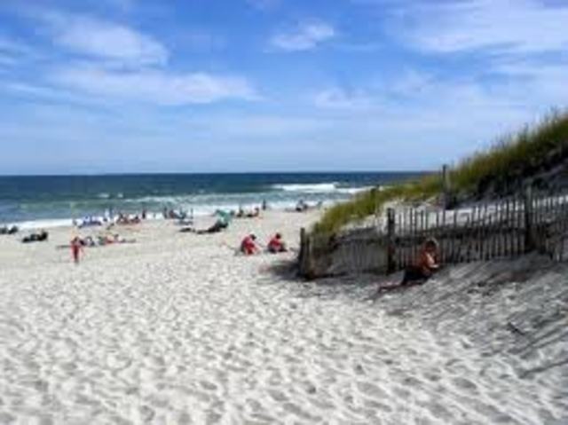 my first trip to the shore