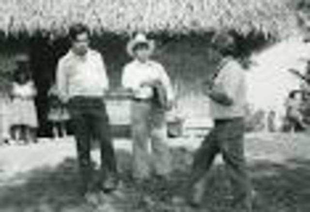 abolition movement in brazil gained widespread suport