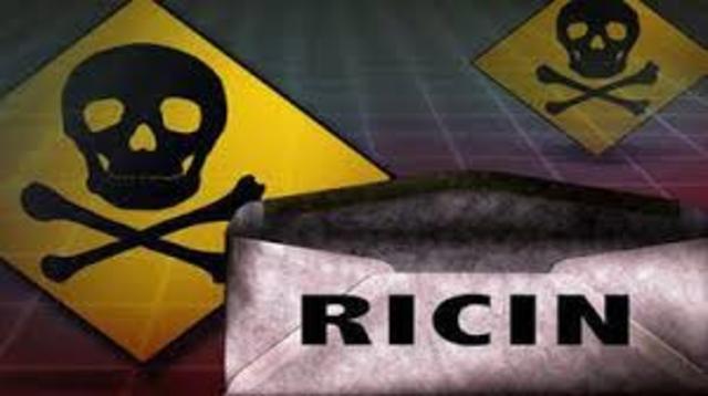 Discovery in the lab