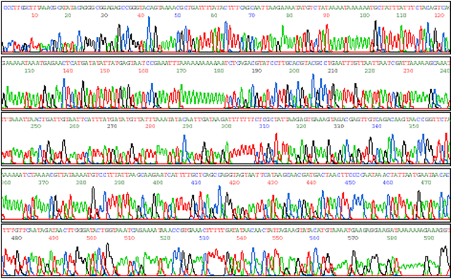 Prevention of Birth defeacts