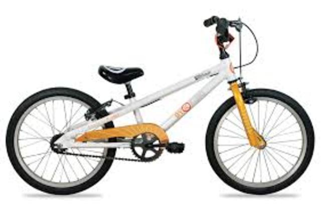 learned how to ride a bike