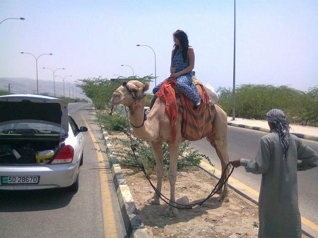 visiting my home country - Jordan