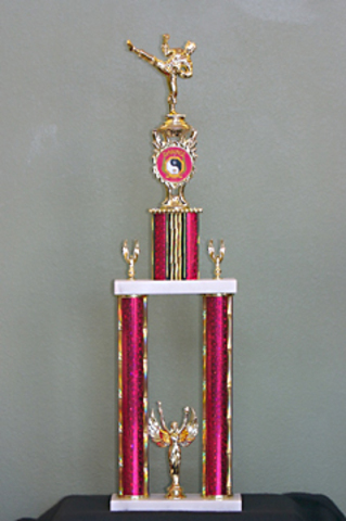 My first Karate Trophy