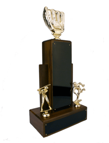 Won baseball championship