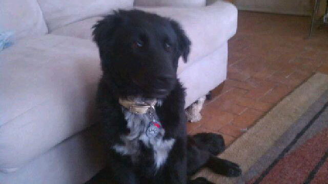 Gave Tasha and Misty away