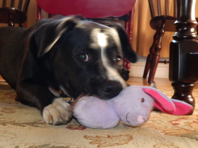 Welcome Home Maddie !