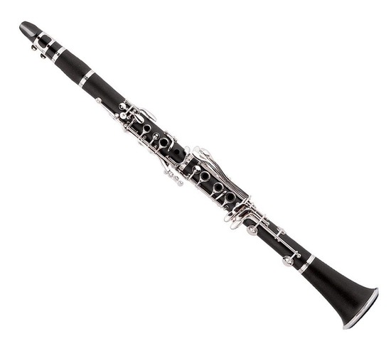 Started playing clarinet