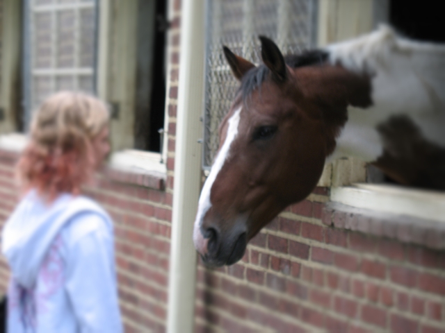 First time riding a horse